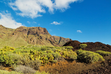 Tenerife landscape