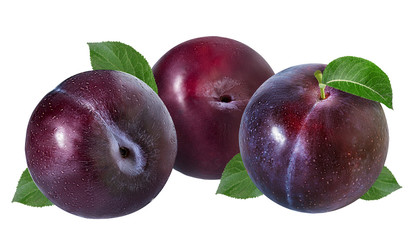 plum on a white