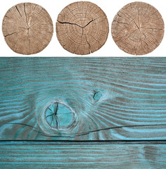 Przekrój pnia drzewa przedstawiający słoje na białym tle. tekstura drewna. zestaw