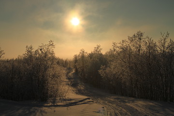 Winterlandschaft, Skandinavien, Norwegen, Schweden, Finnland, Island