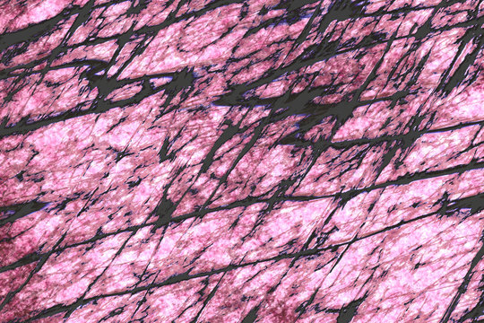 Wide  pink rhodonite slice  background  
