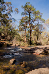 A small stream flowing through John Forrest National park