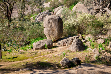 A large rock at John Forrest National Park,