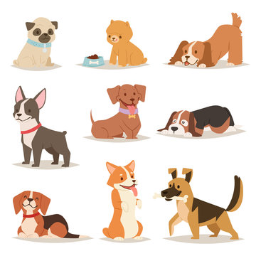 Funny cartoon dogs characters different breads illustration.
