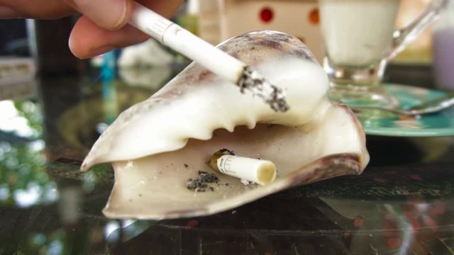 Man Ashes Cigarette into Sea Shell Alike Ashtray
