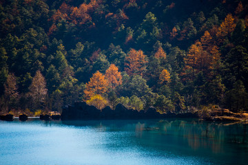 Blue moon valley in lijiang city ,China. It at the foot of Jade Dragon Snow Mountain, gets the name because White Water River flowing through like a blue crescent in the sunlight.