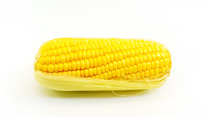 ears of Sweet corn on white background