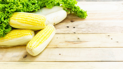 sweet corn green lettuce and white daikon radishes or vegetable