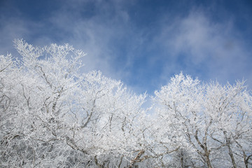 겨울산,상고대