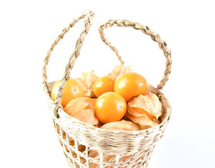 Cape Gooseberry
