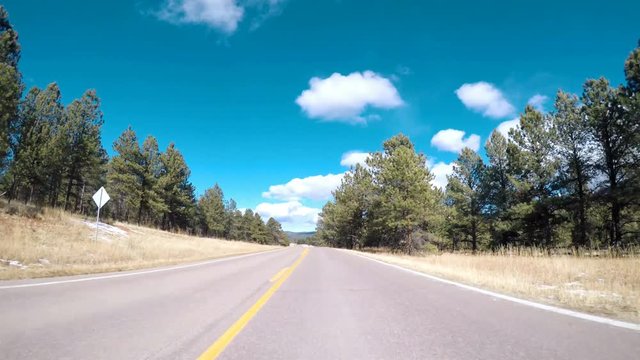 POV point of view - Driving through Pike National Forest in the Winter