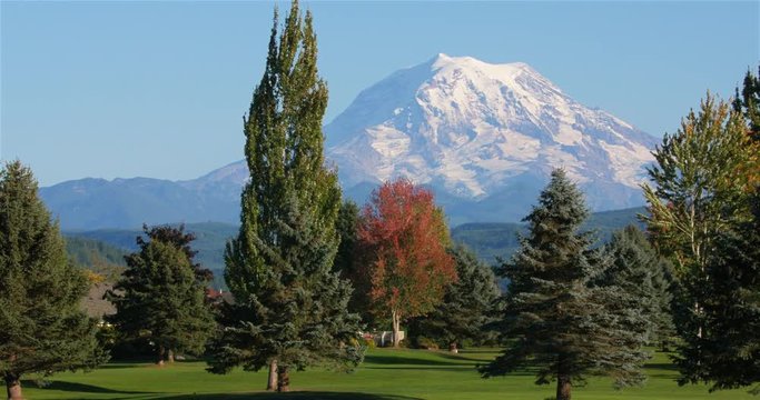 Mount Rainier View