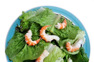 salad shrimp on white background