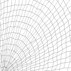 Radial mesh - vector illustration
