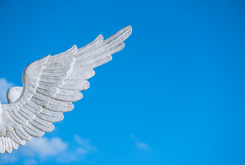 white angel wing isolated on blue sky with copy space.