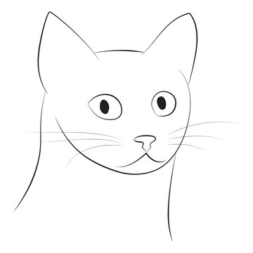 Cat's head - vector illustration 