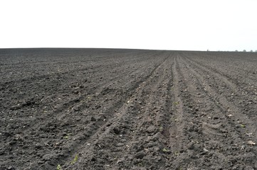Plowed field of the black earth in spring