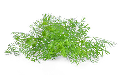 Bunch of fresh coriander leaves over white background