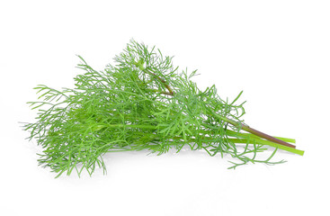 Bunch of fresh coriander leaves over white background