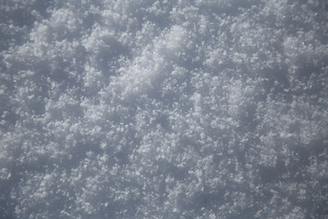 Snow in a field on a sunny day.