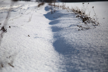 Snow in a field on a sunny day.