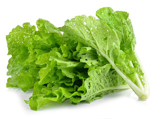 fresh green lettuce leaves isolated on white