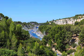 Calanques of Port Pin in Cassis, Provence, France