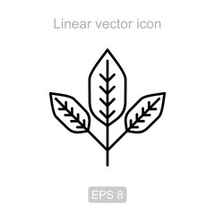 Frond. Linear vector icon.