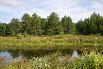 Obraz premium August day on the old bed of the Vetluga river. Kostroma region, Russia