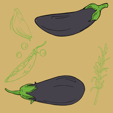 Set of violet eggplants, green peas, onion and thyme on beige background. Cartoon ink sketch. Hand drawn vector illustration.