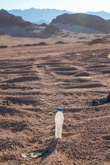 empty crumpled plastic bottles of water abandoned on the desert © asayenka