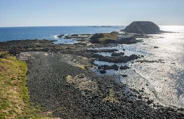 Phillip island in Melbourne