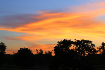 Fototapeta na wymiar sky in sunset and motion cloud colorful beautiful with silhouett tree