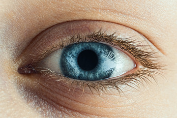Female Blue Eye With Long Lashes Close Up. Human Eye Macro Detail. - 136770863