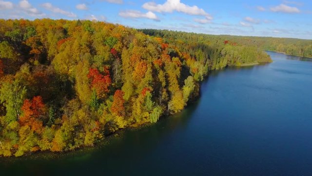 Autumn nature aerial landscape flight over forest lake and brightly colored trees.