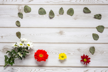 Floral pattern with several colorful flowers