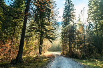 Obraz premium trekking path in an autumn day in the alps