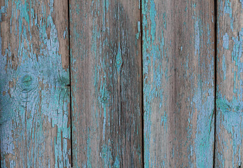 Fototapeta na wymiar Texture of old wooden boards in peeling blue-turquoise color paint, abstract natural rustic background. wooden fence. template for design. flat lay. copy space