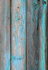 Texture of old wooden boards in peeling blue-turquoise color paint, abstract natural rustic background. wooden fence. template for design. flat lay. copy space
