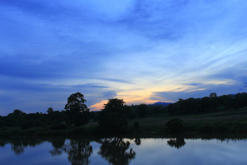 Obraz premium sunset colorful and silhouette woodland twilight in nature