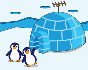 funny baby penguin in front of igloo