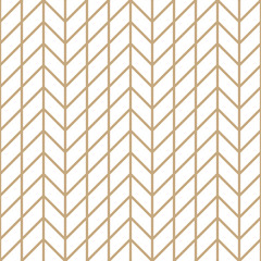 Abstract geometric grid. Gold minimal graphic design print pattern