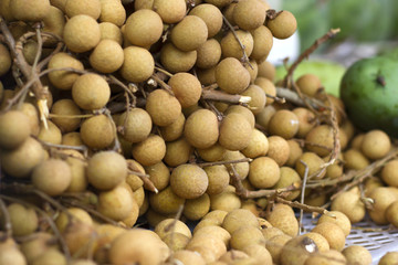 longan fruit
