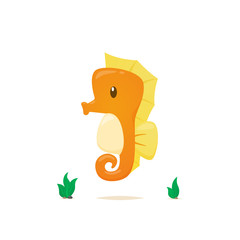 Seahorse vector isolated