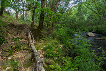 Garganta de Pedro Chate. Landscape near Jaraiz de la Vera, Caceres. Extremadura. Spain.