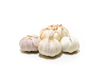 Fresh Garlic Isolated on White Background.