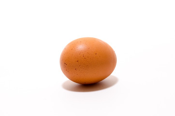 An Egg on White Background.