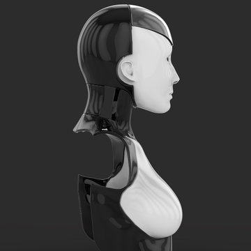 3D Illustration Of A Female Humanoid Android Robot