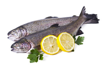 Trout with parsley and lemon isolated