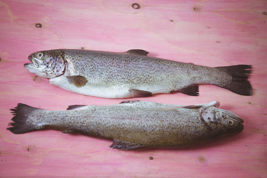 trout on a background of rose wood
